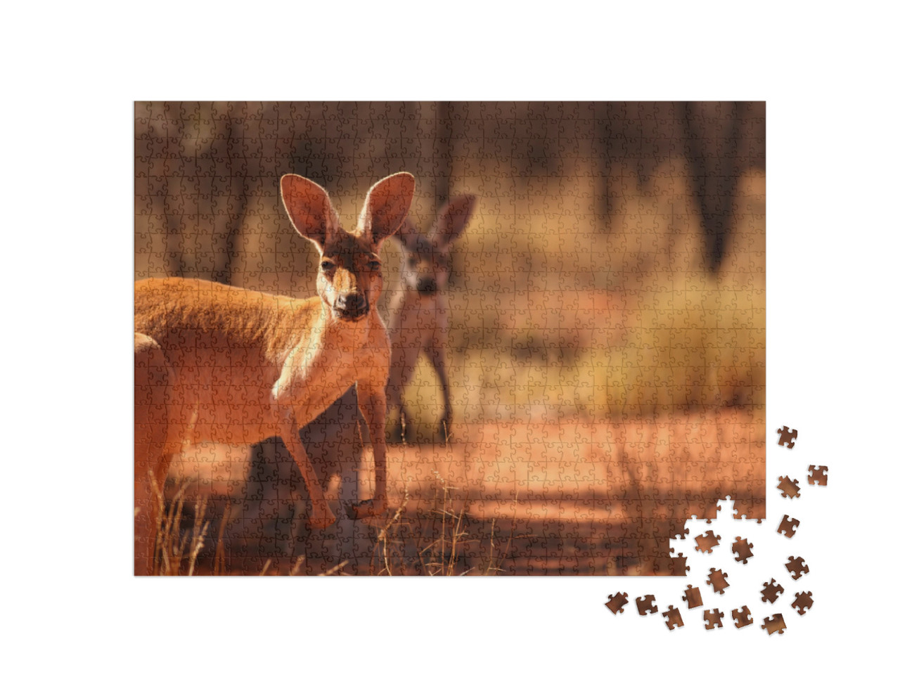 A Female Red Kangaroo with Her Joey on the Red Sand of Ou... Jigsaw Puzzle with 1000 pieces