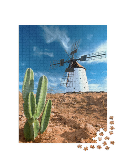 Cactus & Traditional Windmill on Fuerteventura, Canary Is... Jigsaw Puzzle with 1000 pieces