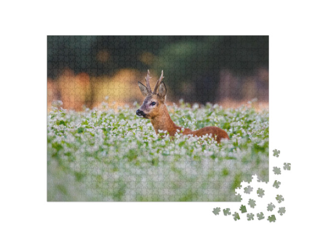 Roe Deer in a Field of Flowers... Jigsaw Puzzle with 1000 pieces