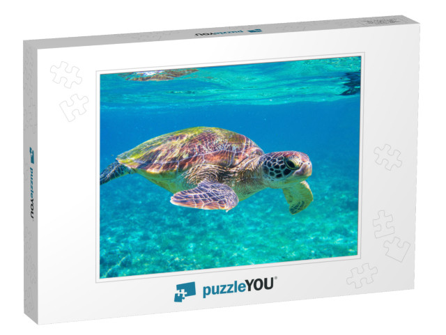 Cute Sea Turtle in Blue Water of Tropical Sea. Green Turt... Jigsaw Puzzle