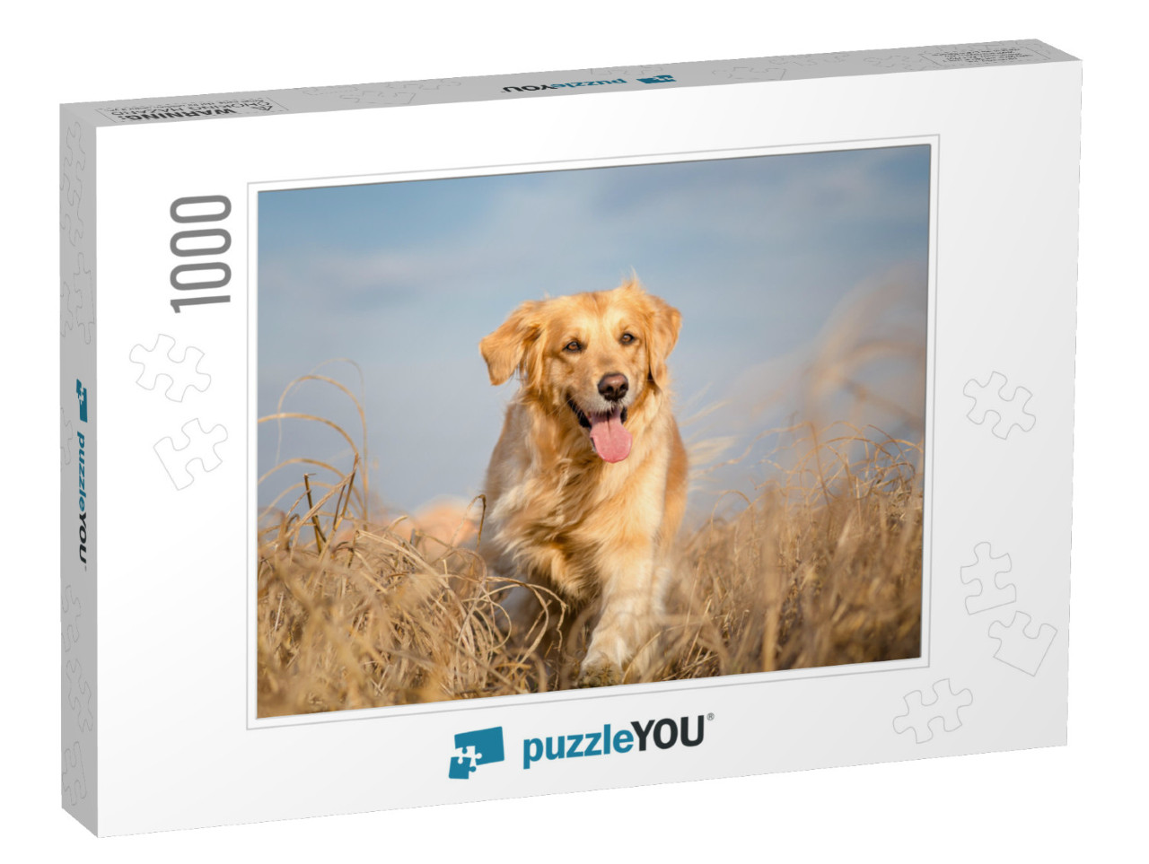 Golden Retriever Dog Running Outdoor... Jigsaw Puzzle with 1000 pieces