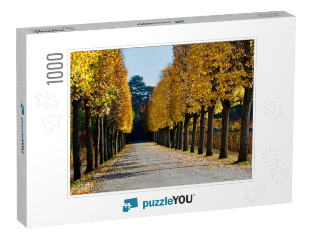 Autumn View of an Alley At Eremitage Bayreuth... Jigsaw Puzzle with 1000 pieces