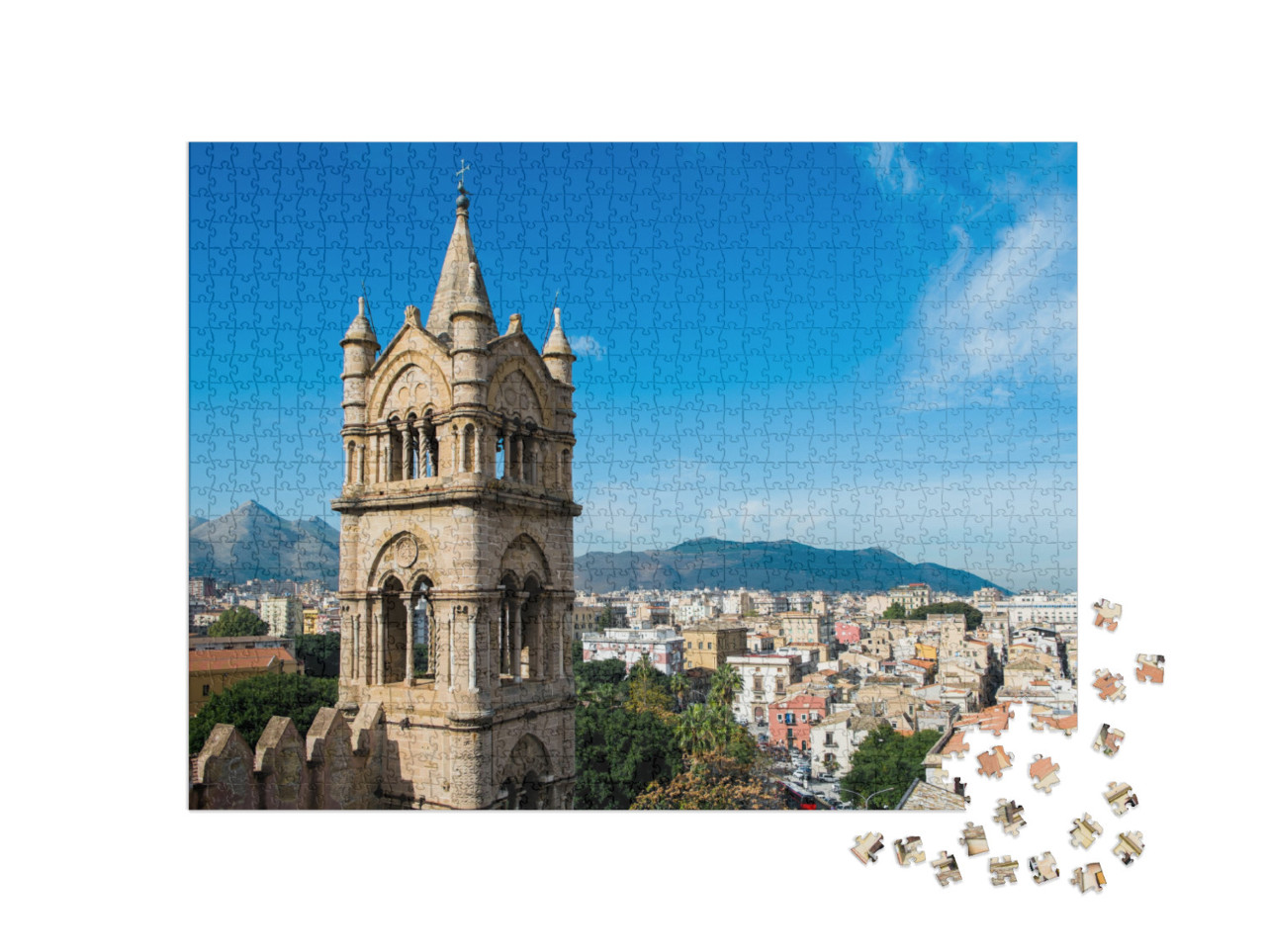 Aerial View of Palermo from Santa Maria Assunta Cathedral... Jigsaw Puzzle with 1000 pieces