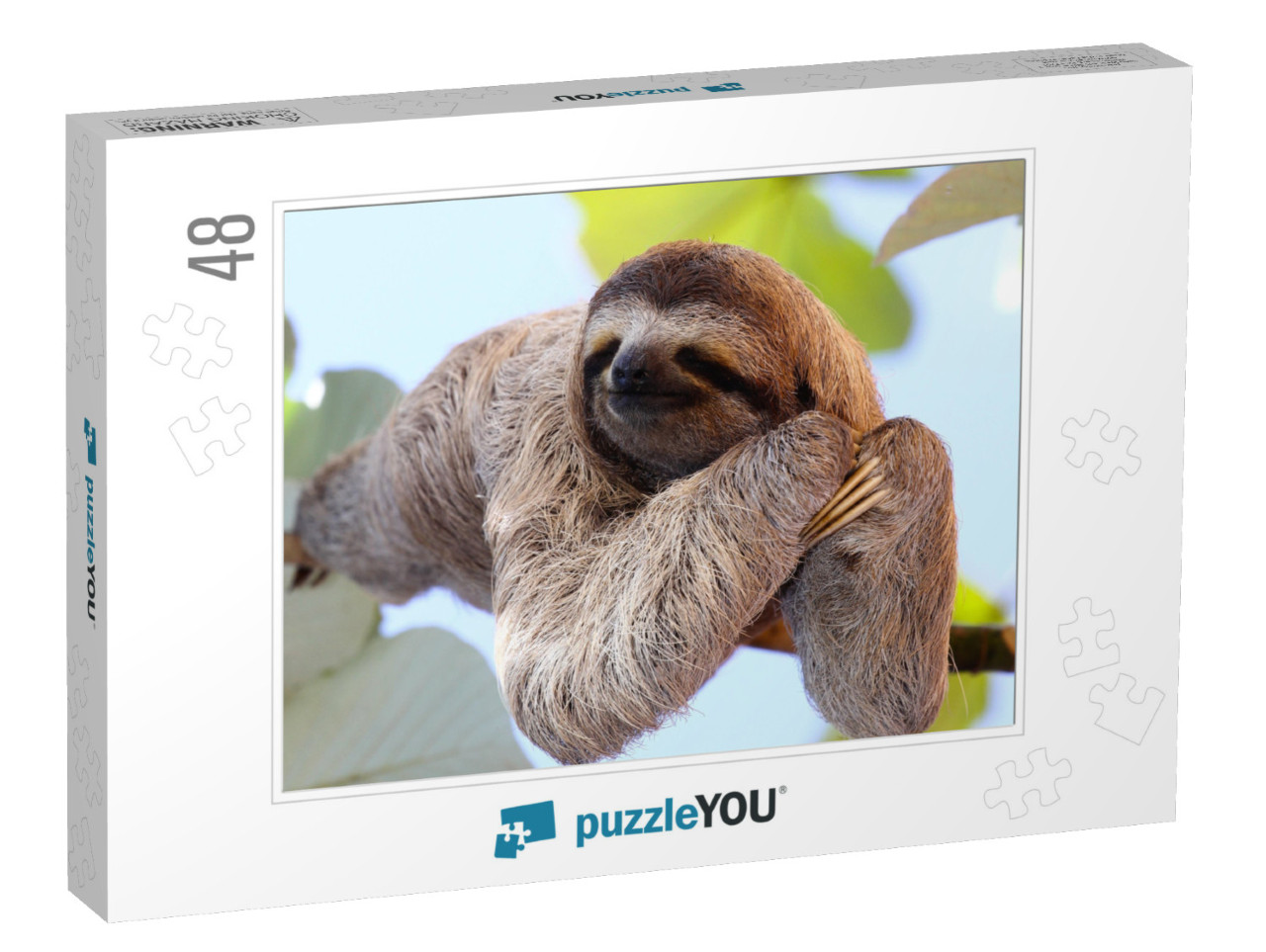 Happy Sloth Hanging on the Tree... Jigsaw Puzzle with 48 pieces