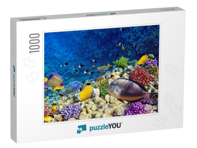 Coral & Fish in the Red Sea. Egypt... Jigsaw Puzzle with 1000 pieces