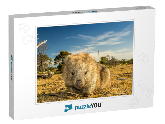 Maria Island, Tasmania, Australia- March 2019 Wombat Vomb... Jigsaw Puzzle