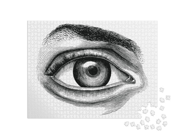 Anatomy of Human Eye Hand Draw Vintage Clip Art Isolated... Jigsaw Puzzle with 1000 pieces