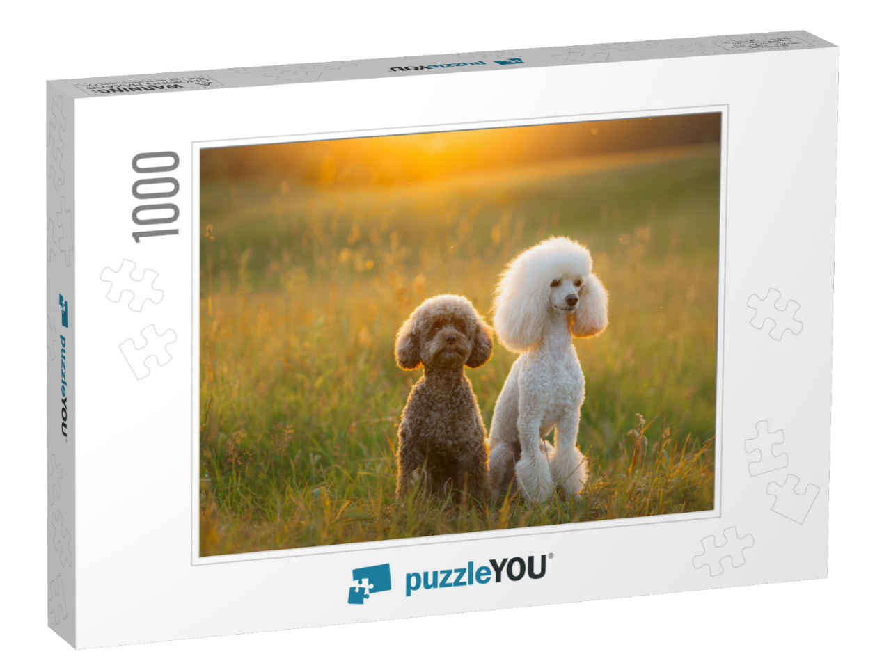 Two Poodles on the Grass. Pet in Nature. Cute Dog Like a... Jigsaw Puzzle with 1000 pieces