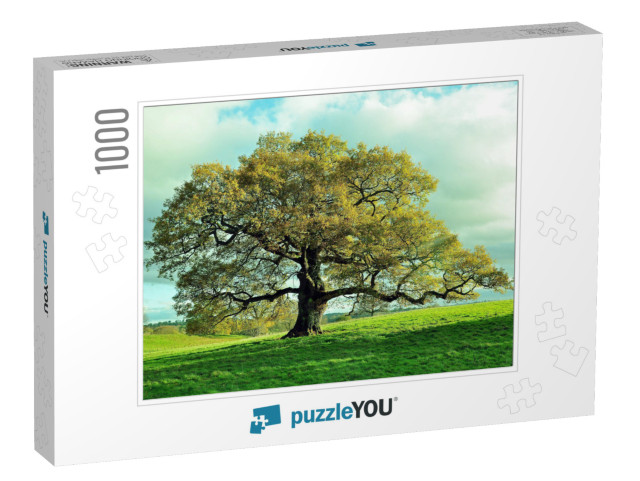 Old Oak Tree in an English Meadow... Jigsaw Puzzle with 1000 pieces