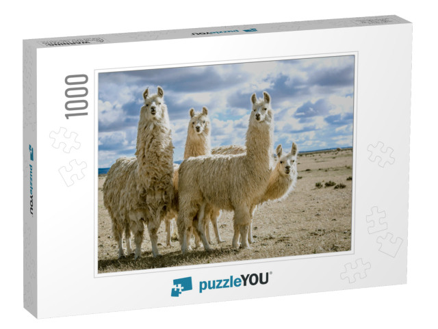 Llamas Group in Their Natural Habitat... Jigsaw Puzzle with 1000 pieces