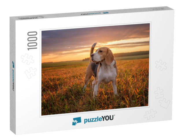 Portrait of a Beagle Dog on the Background of a Beautiful... Jigsaw Puzzle with 1000 pieces