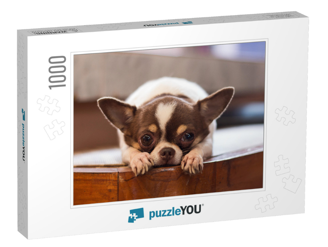 Lonely Dog, Red Nose Chihuahua Dog... Jigsaw Puzzle with 1000 pieces