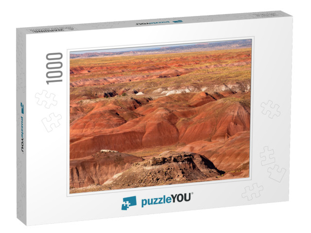 Petrified Forest National Park is in Northeastern Arizona... Jigsaw Puzzle with 1000 pieces