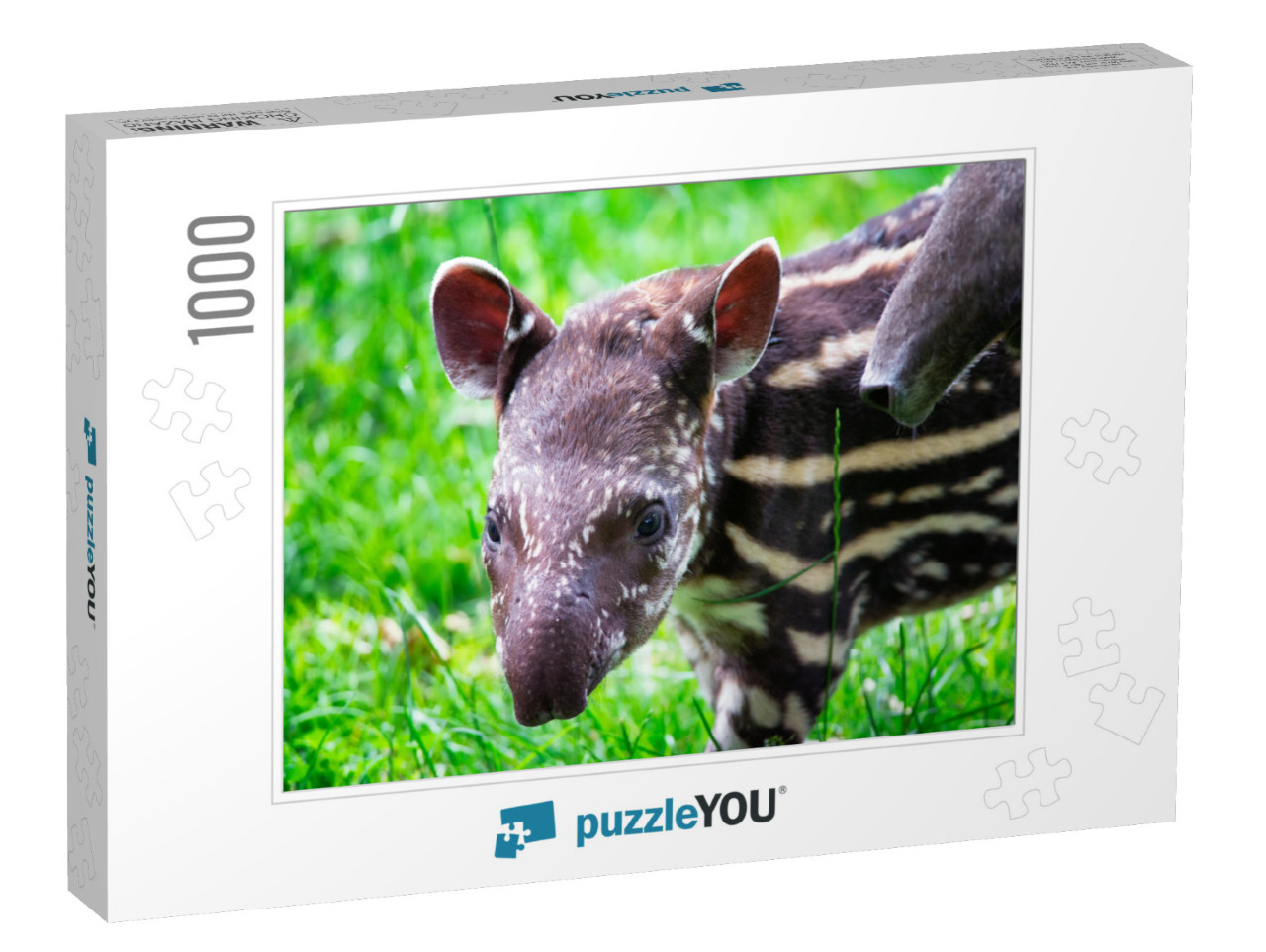 Nine Days Old Baby of the Endangered South American Tapir... Jigsaw Puzzle with 1000 pieces