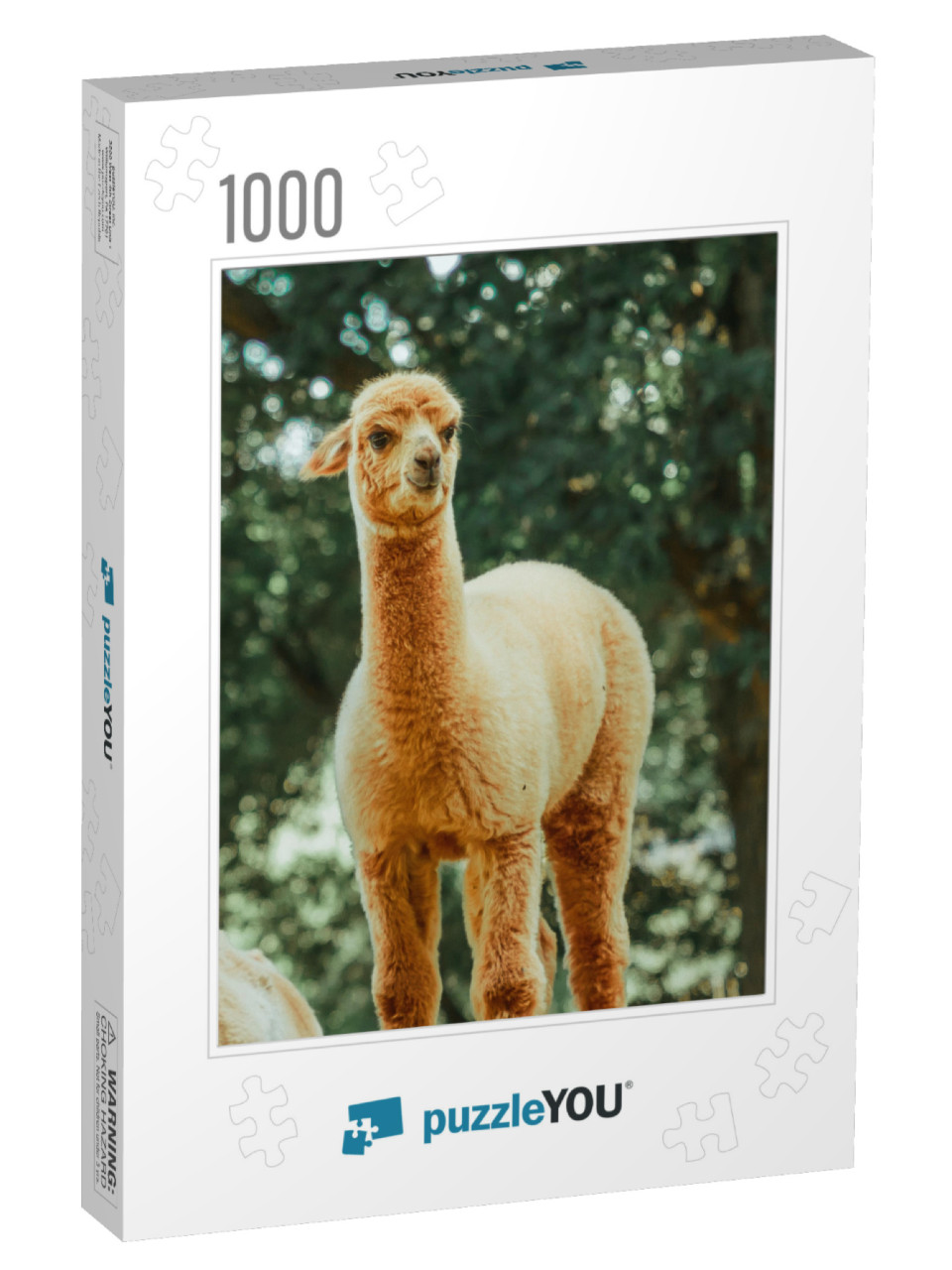 The Llama Lama Glama is a Domestic Artiodactyl Mammal of... Jigsaw Puzzle with 1000 pieces