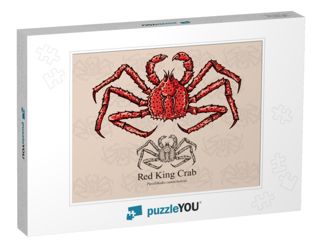 Red King Crab. Vector Illustration with Refined De... Jigsaw Puzzle