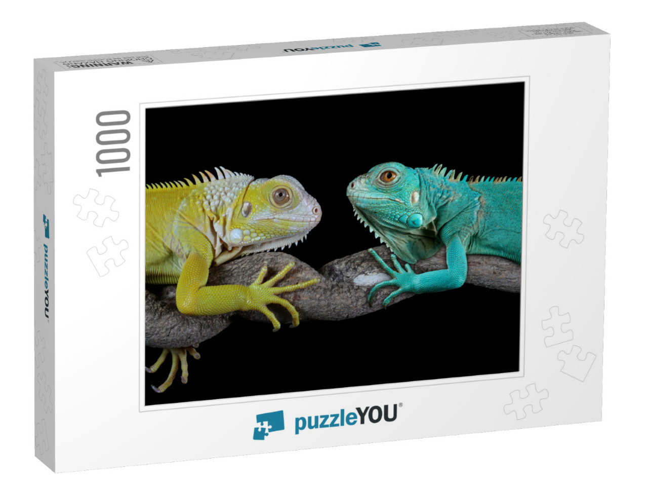 Blue Iguana Grand Cayman Blue Iguanas, Cyclura Lewisi Fac... Jigsaw Puzzle with 1000 pieces