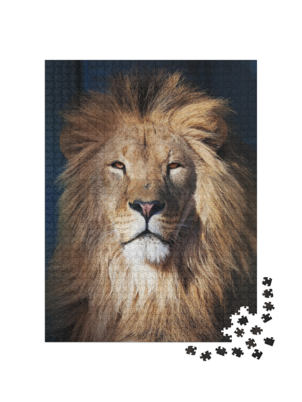 Lion Serious Portrait African Close-Up... Jigsaw Puzzle with 1000 pieces