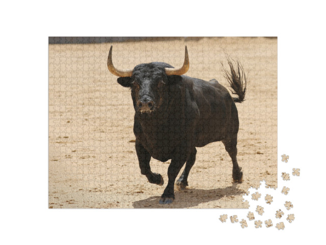 Spanish Bull in the Bullring... Jigsaw Puzzle with 1000 pieces