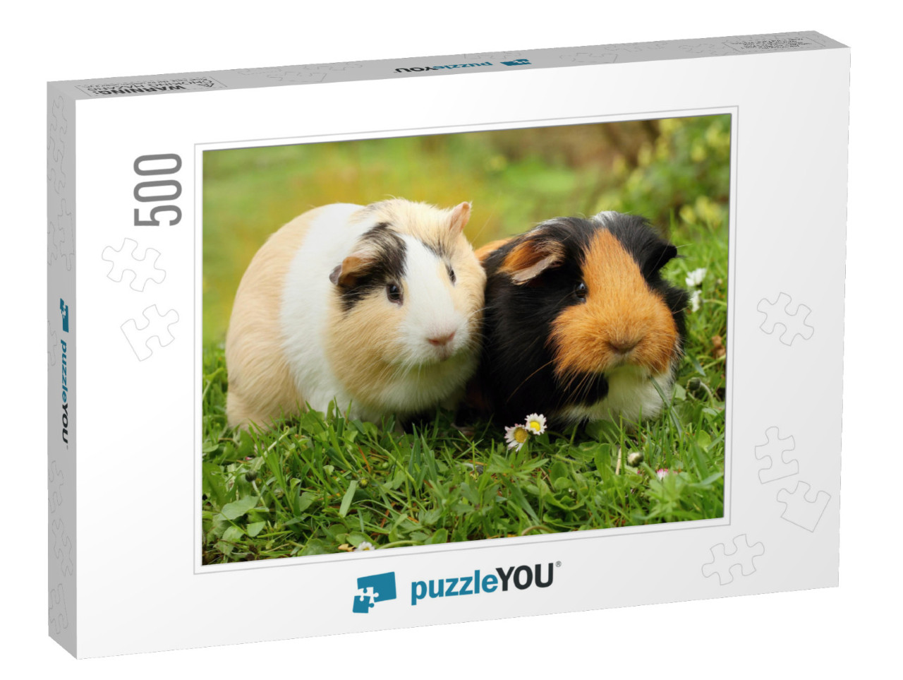 Two Cute Guinea Pigs... Jigsaw Puzzle with 500 pieces