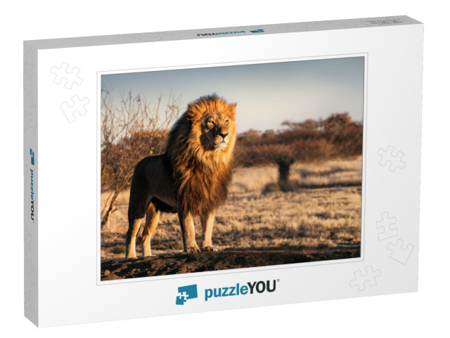 Single Lion Looking Regal Standing Proudly on a Small Hil... Jigsaw Puzzle