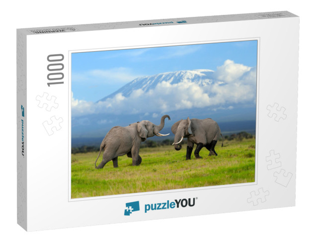 Large Adult Elephant with a Snow Covered Mount Kilimanjar... Jigsaw Puzzle with 1000 pieces