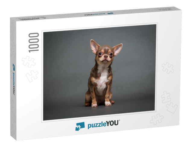 Chihuahua Puppy on a Gray Background Studio Photo... Jigsaw Puzzle with 1000 pieces