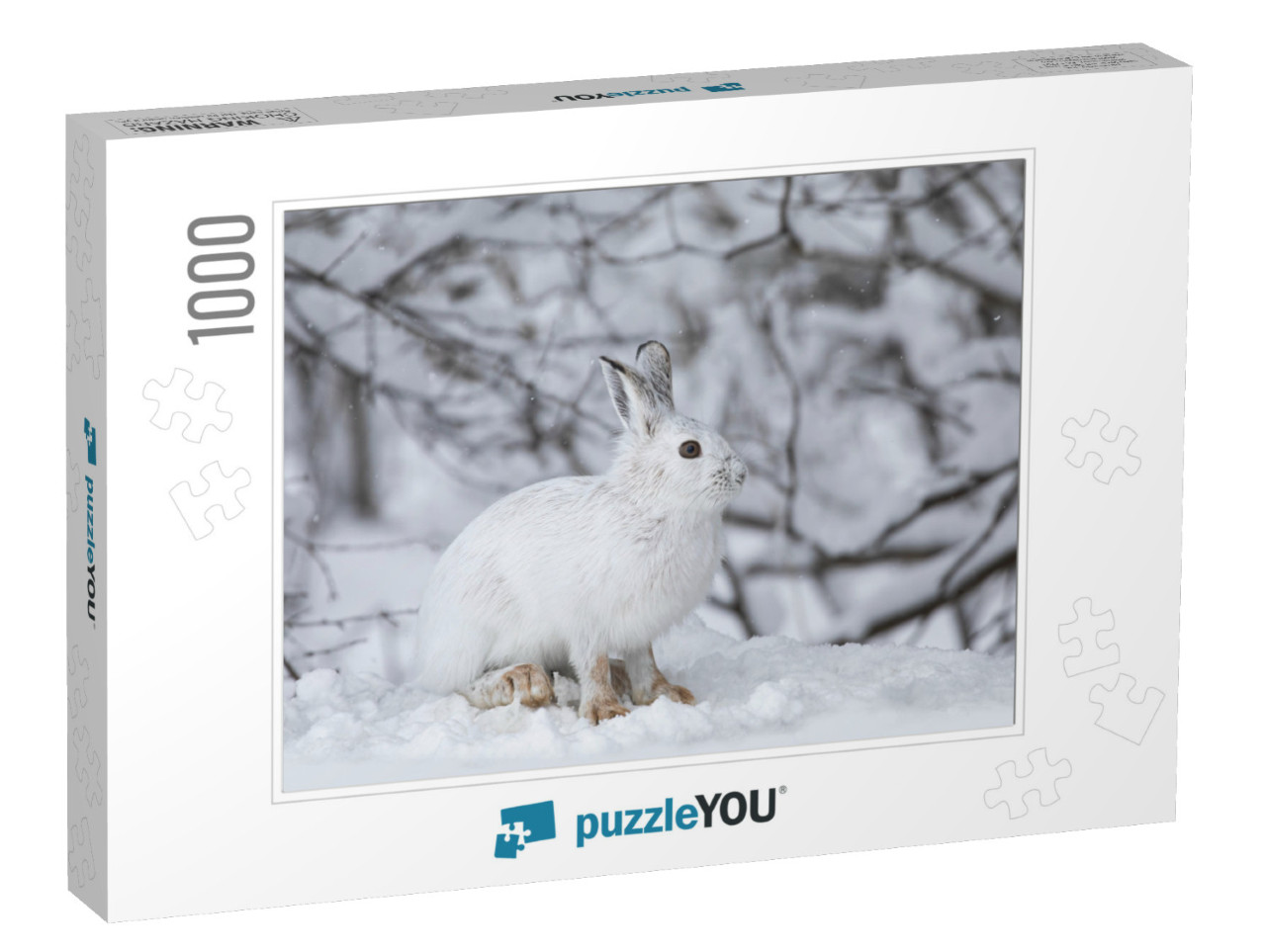 White Snowshoe Hare or Varying Hare Closeup in Winter in... Jigsaw Puzzle with 1000 pieces