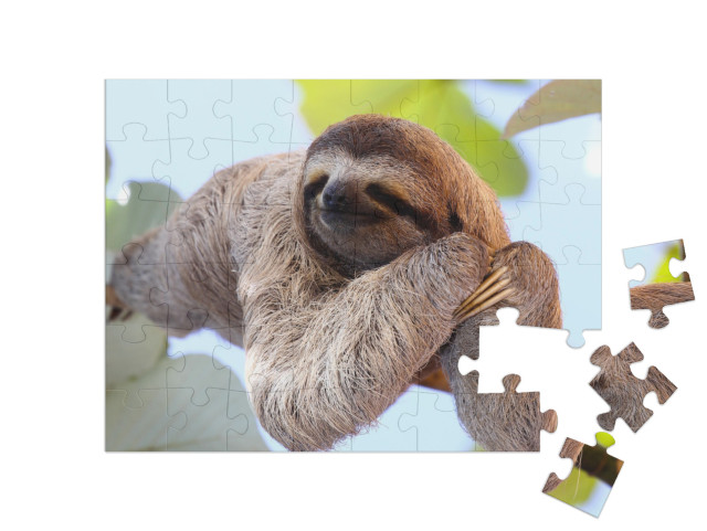 Happy Sloth Hanging on the Tree... Jigsaw Puzzle with 48 pieces