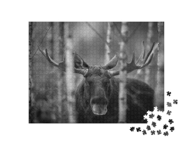 Mammal - Bull Moose Alces. Portrait of Elk, Moose. Moose... Jigsaw Puzzle with 1000 pieces