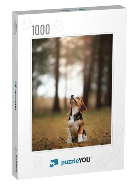 Dog on Nature in the Park. Beagle Puppy. Pet for a Walk... Jigsaw Puzzle with 1000 pieces