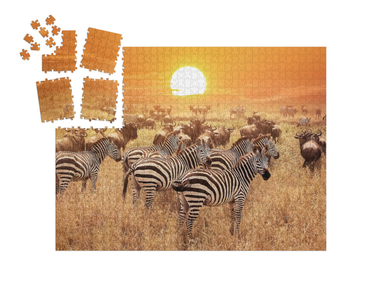 Zebra At Sunset in the Serengeti National Park. Africa. T... | SMART SORTED® | Jigsaw Puzzle with 1000 pieces