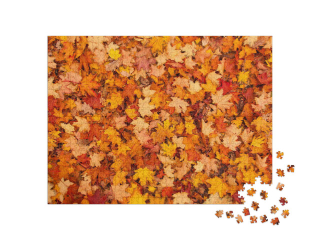 Red & Orange Autumn Leaves Background. Outdoor. Colorful... Jigsaw Puzzle with 1000 pieces