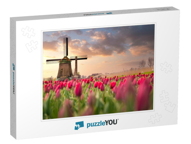 Tulip Fields & Windmill in Netherland, Near Lisse... Jigsaw Puzzle