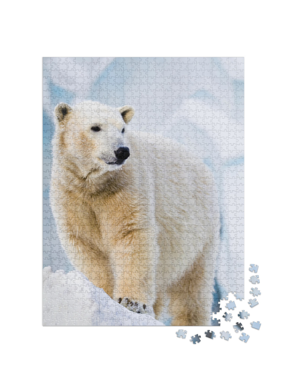 Young Polar Bear Standing on the Ice Block... Jigsaw Puzzle with 1000 pieces