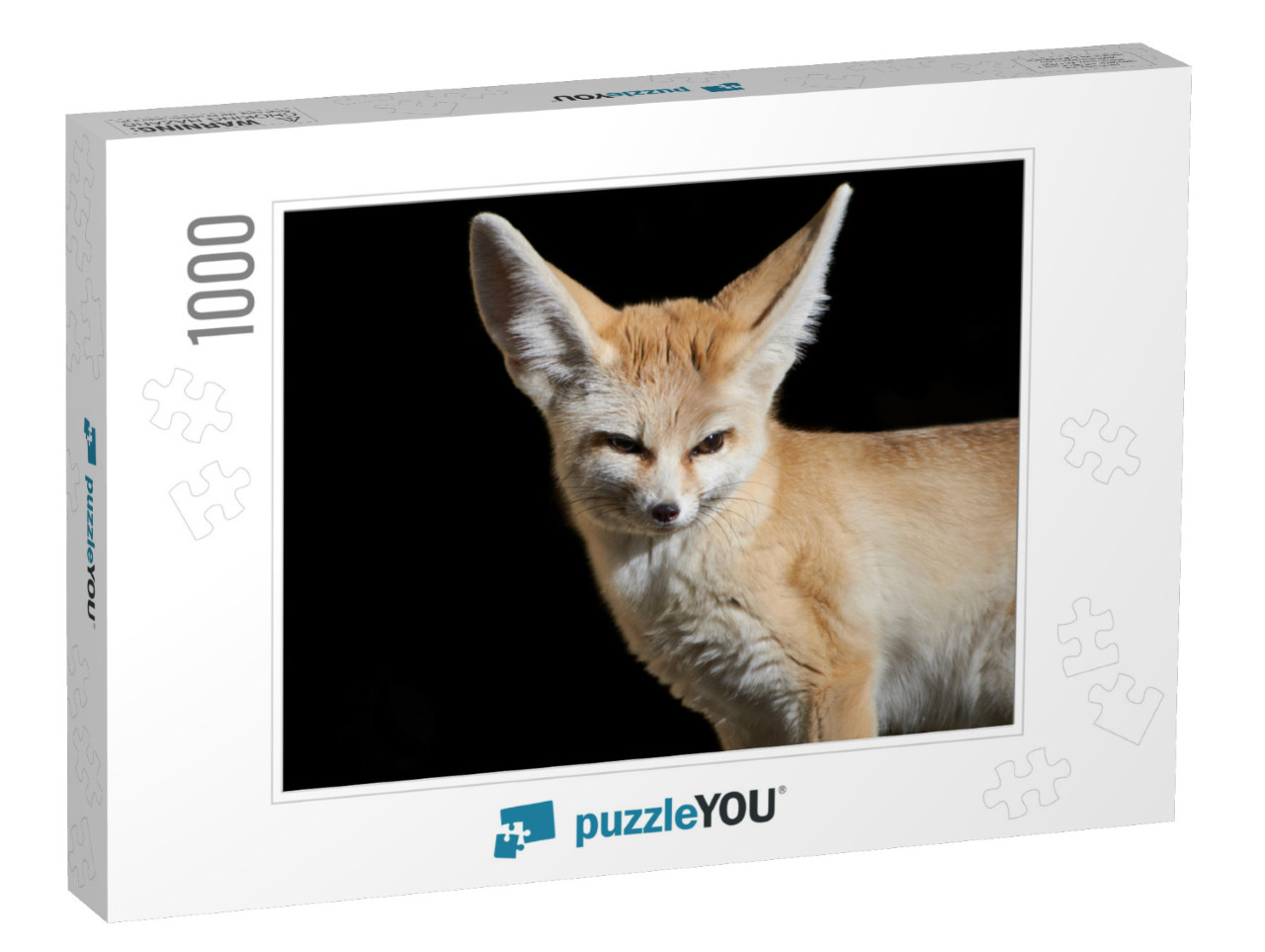 Close-Up of a Fennec Fox Vulpes Zerda with Large Ears Iso... Jigsaw Puzzle with 1000 pieces