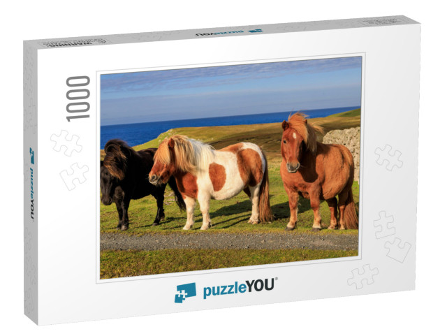 Three Windswept Shetland Ponies, a World Famous Unique &... Jigsaw Puzzle with 1000 pieces