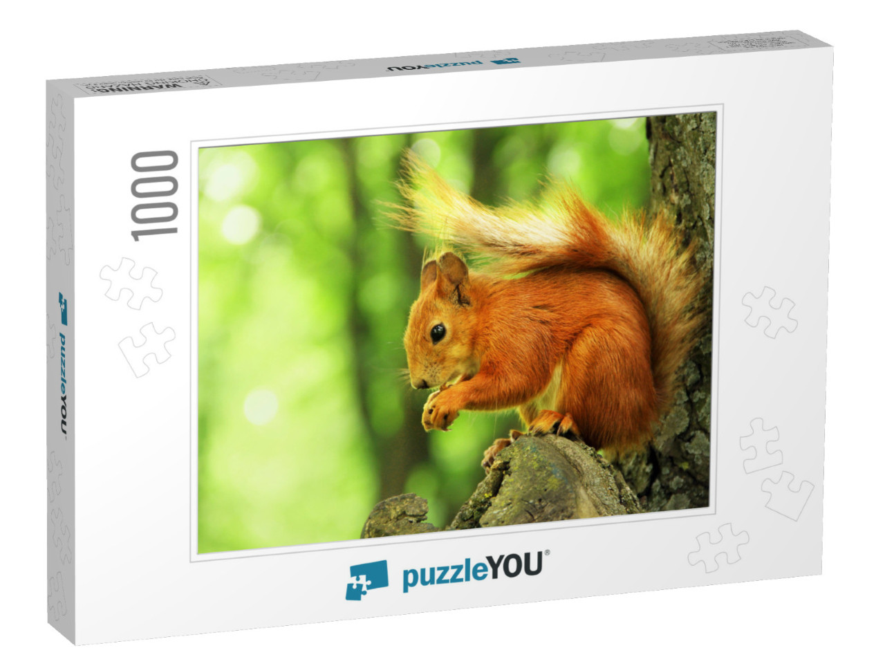 Sciurus. Rodent. the Squirrel Sits on a Tree & Eats. Beau... Jigsaw Puzzle with 1000 pieces