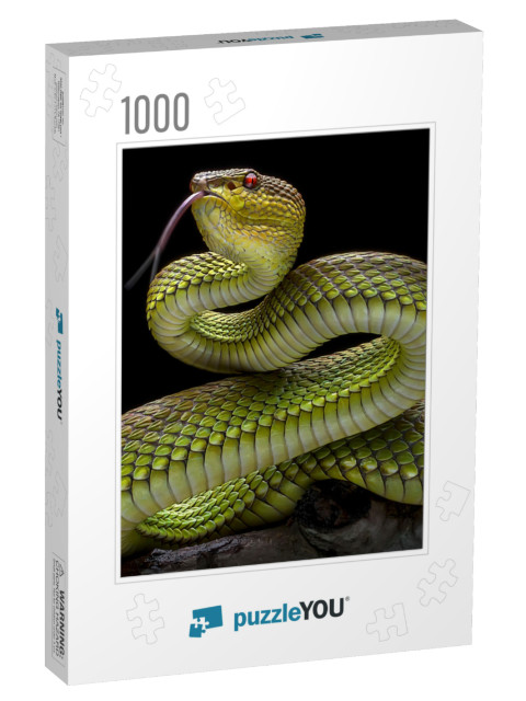 Green Goldy Skin Viper Snake 2001026 - Exotic Reptile Ani... Jigsaw Puzzle with 1000 pieces