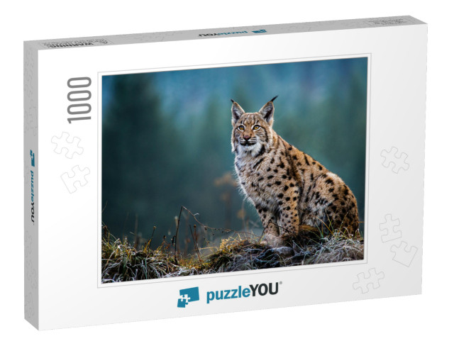 Eurasian Lynx... Jigsaw Puzzle with 1000 pieces