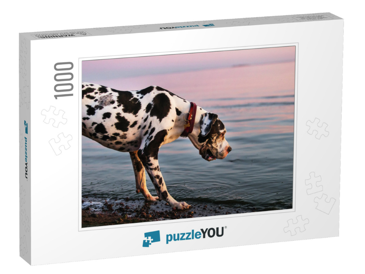 Side View of Interested Adorable Majestic Great Dane Harl... Jigsaw Puzzle with 1000 pieces