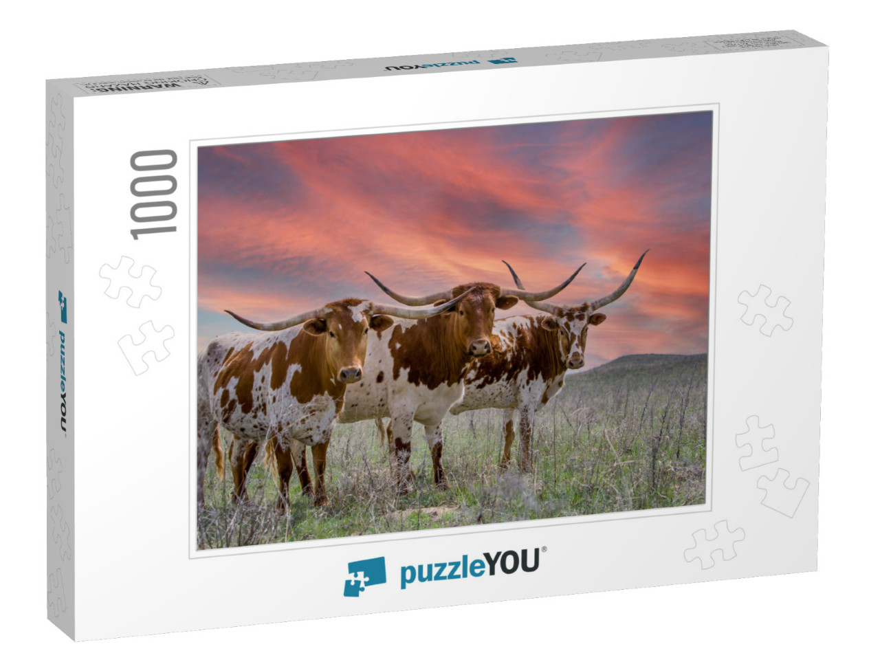 Texas Longhorn Cattle At Sunset in a Pasture in the Oklah... Jigsaw Puzzle with 1000 pieces