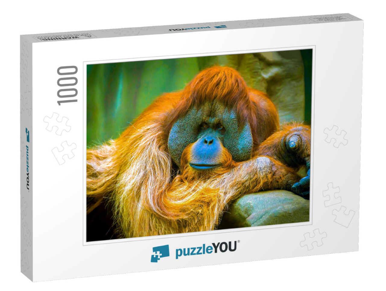 Orangutan is in a Sad Reverie... Jigsaw Puzzle with 1000 pieces