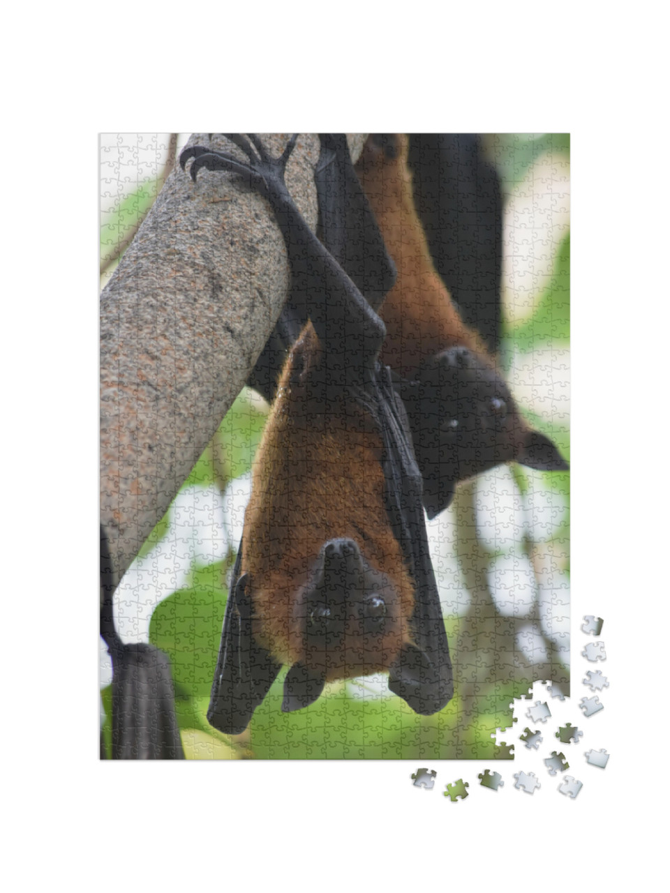 Two Bats Indian Flying Fox Hanging At a Tree in a Forest... Jigsaw Puzzle with 1000 pieces