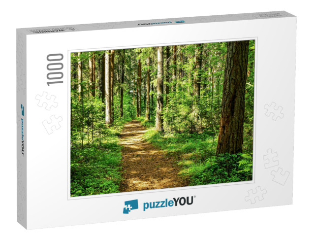 Forest Trail Scene. Woodland Path... Jigsaw Puzzle with 1000 pieces