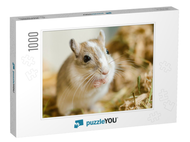 Mongolian Gerbils Meriones as Pet... Jigsaw Puzzle with 1000 pieces