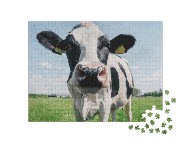 Cow on the Background of Sky & Green Grass... Jigsaw Puzzle with 1000 pieces