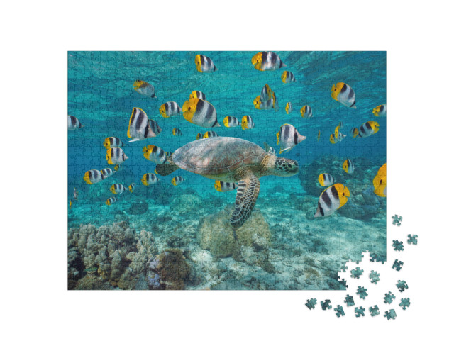 A Green Sea Turtle with a School of Tropical Fish Underwa... Jigsaw Puzzle with 1000 pieces