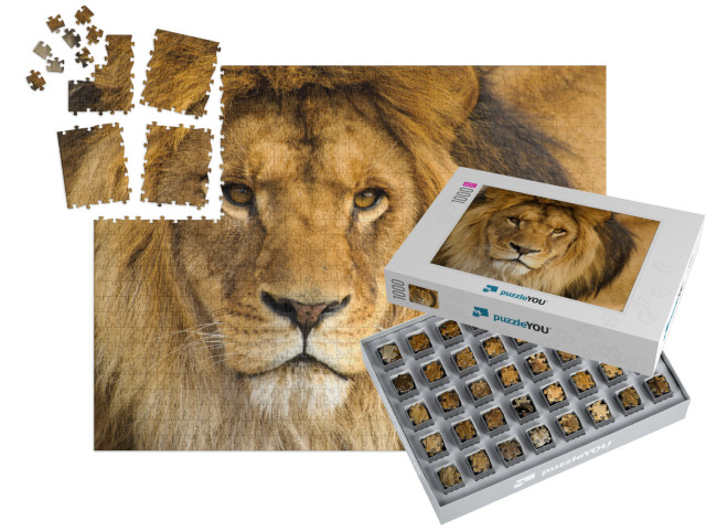 Beautiful Mighty Lion... | SMART SORTED® | Jigsaw Puzzle with 1000 pieces