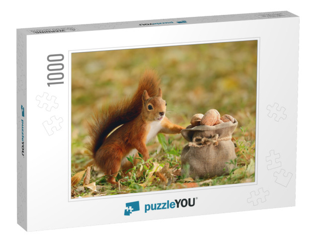 Portrait of a Red Squirrel Holding a Bag with Nuts... Jigsaw Puzzle with 1000 pieces